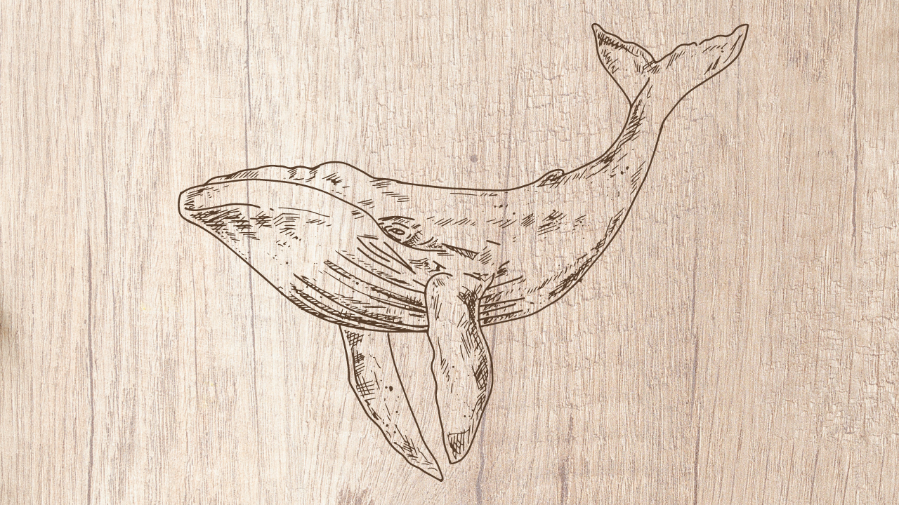 A whale drawn onto a wooden board