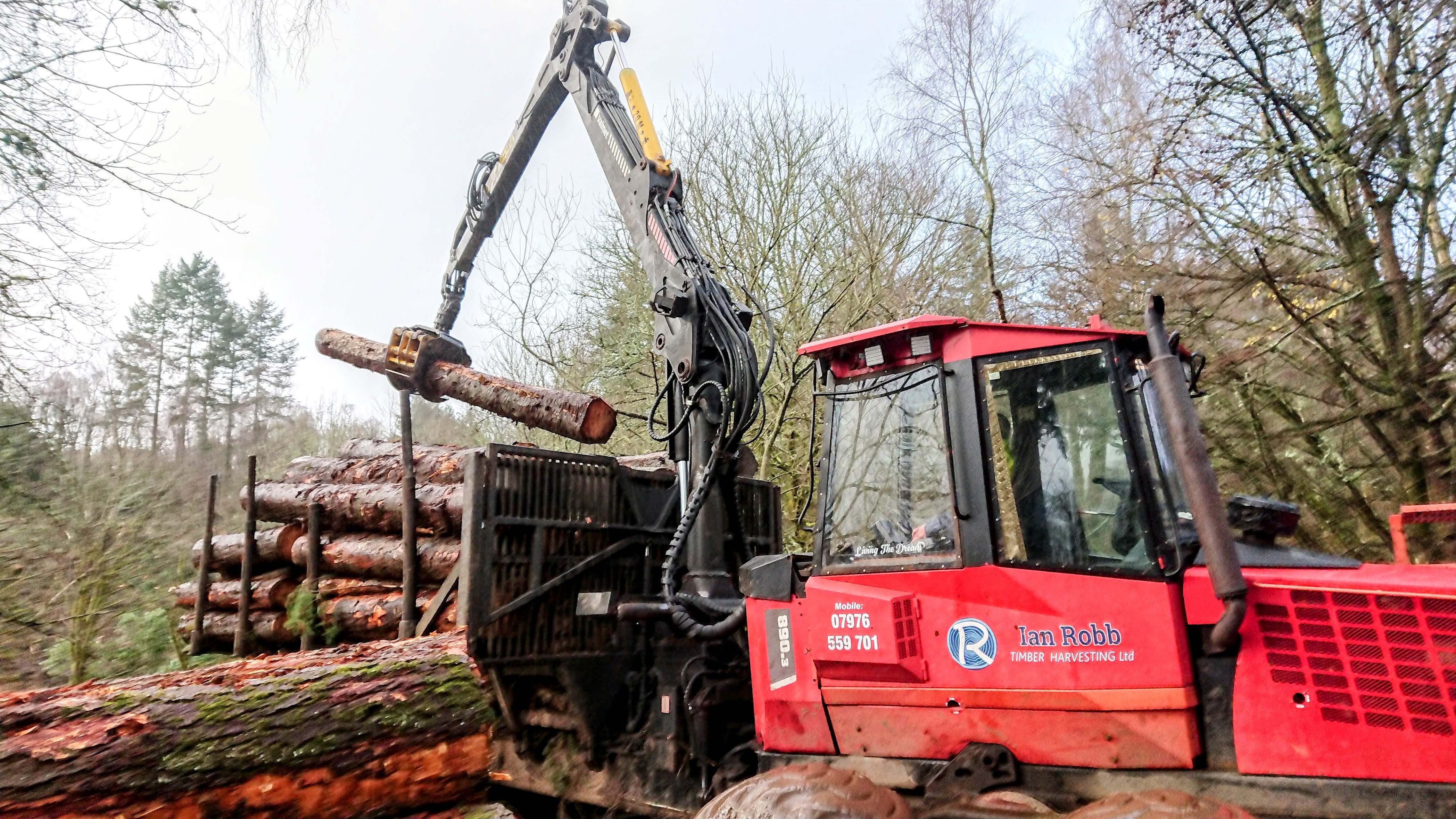 Forwarder loading logs
