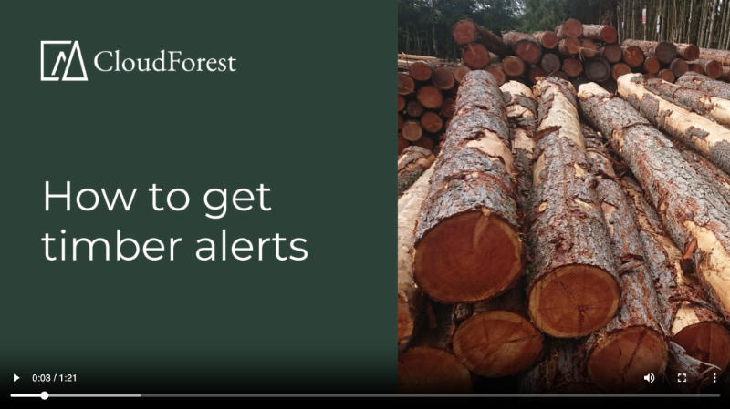 Challenges along the UK's small-scale timber supply chain from forest to construction